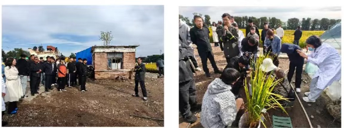 田间研学促成长，稻浪田里练本领——走进袁隆平科技小院水稻科研示范基地，解锁兴安水稻科研密码