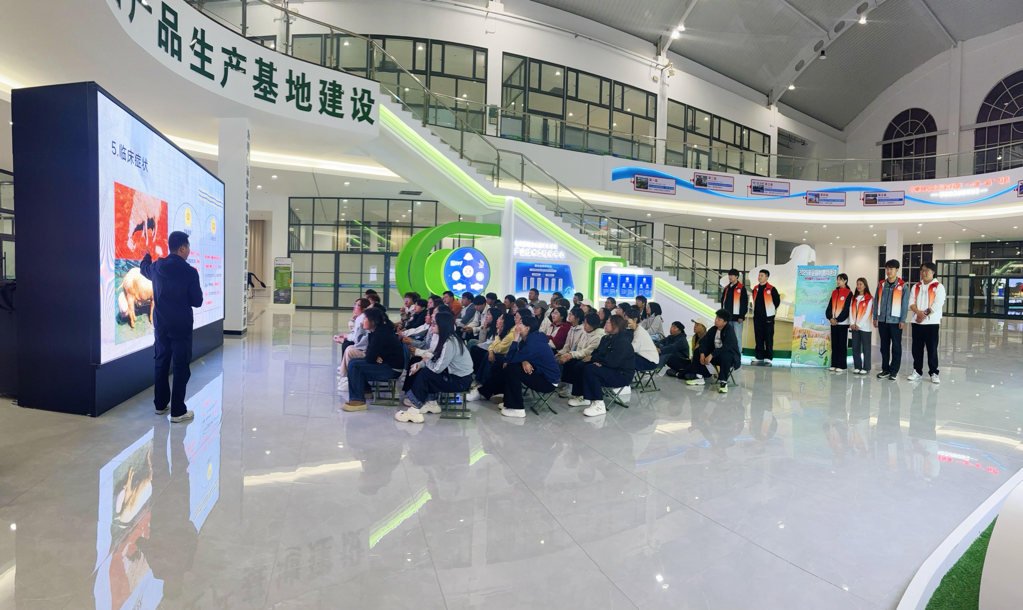 图片15.png
