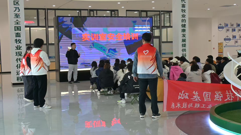 图片12.png